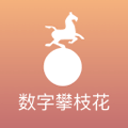 火箭入场穿搭：格林牛仔帽亮眼 申京黑白马甲 范乔丹&谢泼德短袖